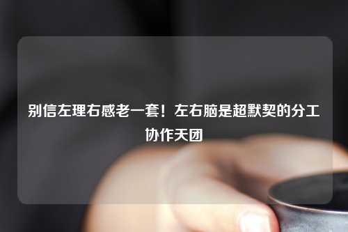 别信左理右感老一套！左右脑是超默契的分工协作天团