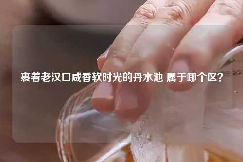 裹着老汉口咸香软时光的丹水池 属于哪个区？