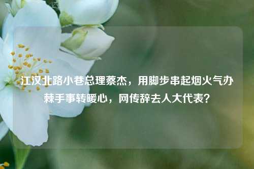 江汉北路小巷总理蔡杰，用脚步串起烟火气办棘手事转暖心，网传辞去人大代表？