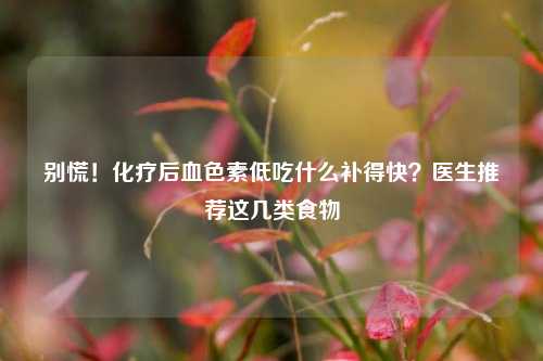别慌！化疗后血色素低吃什么补得快？医生推荐这几类食物