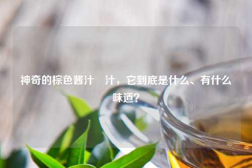 神奇的棕色酱汁喼汁，它到底是什么、有什么味道？