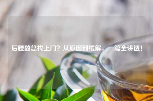 后腰酸总找上门？从原因到缓解，一篇全讲透！