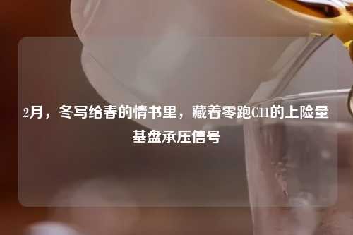 2月，冬写给春的情书里，藏着零跑C11的上险量基盘承压信号