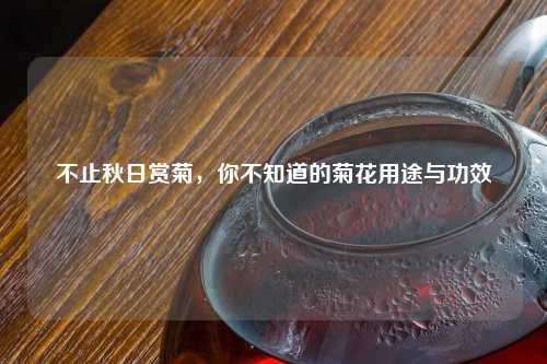 不止秋日赏菊，你不知道的菊花用途与功效