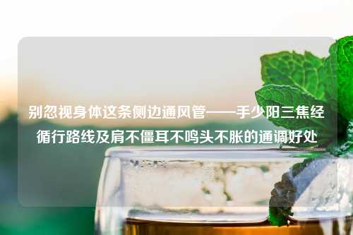 别忽视身体这条侧边通风管——手少阳三焦经循行路线及肩不僵耳不鸣头不胀的通调好处