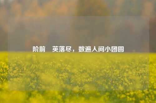 阶前蓂荚落尽，数遍人间小团圆