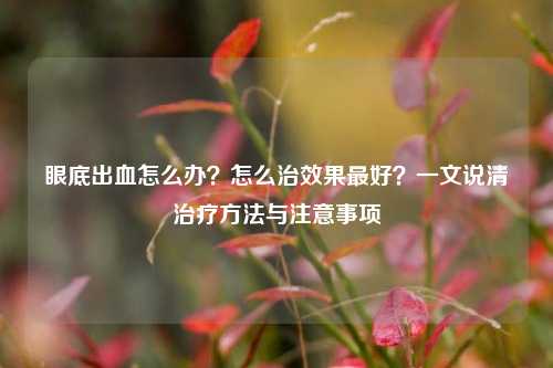 眼底出血怎么办？怎么治效果更好？一文说清治疗     与注意事项