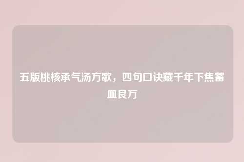 五版桃核承气汤方歌，四句口诀藏千年下焦蓄血良方