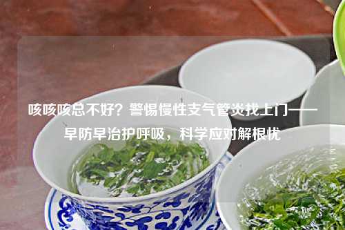 咳咳咳总不好？警惕慢性支气管炎找上门——早防早治护呼吸，科学应对解根忧