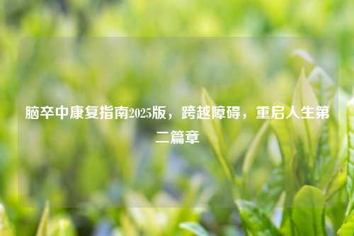 脑卒中康复指南2025版，跨越障碍，重启人生第二篇章