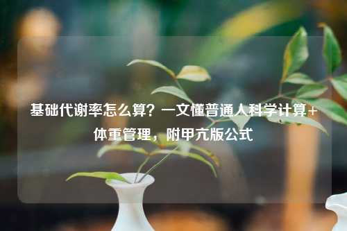 基础代谢率怎么算？一文懂普通人科学计算+体重管理，附甲亢版公式