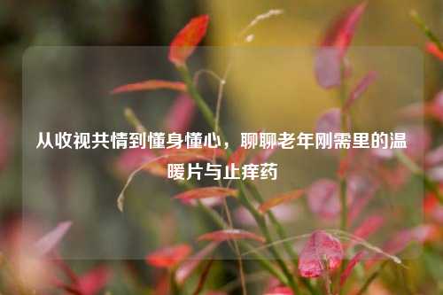 从收视共情到懂身懂心，聊聊老年刚需里的温暖片与止痒药