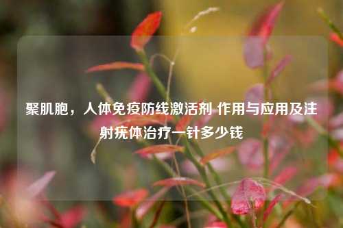 聚肌胞，人体免疫防线激活剂 作用与应用及注射疣体治疗一针多少钱
