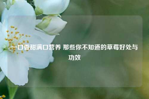 一口香甜满口营养 那些你不知道的草莓好处与功效
