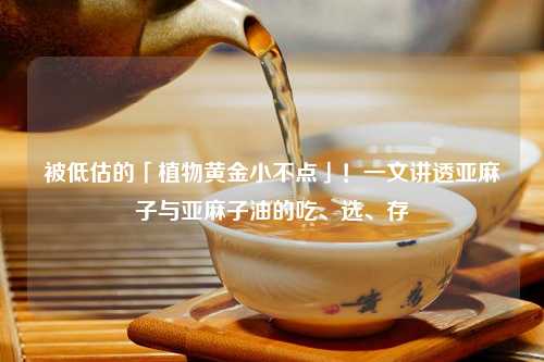 被低估的「植物黄金小不点」！一文讲透亚麻子与亚麻子油的吃、选、存