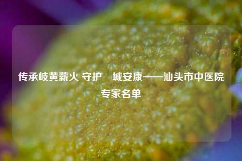 传承岐黄薪火 守护鮀城安康——汕头市中医院专家名单