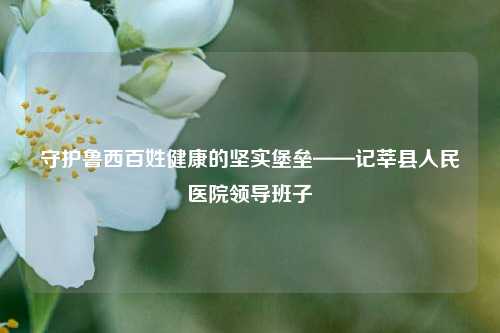 守护鲁西百姓健康的坚实堡垒——记莘县人民医院领导班子