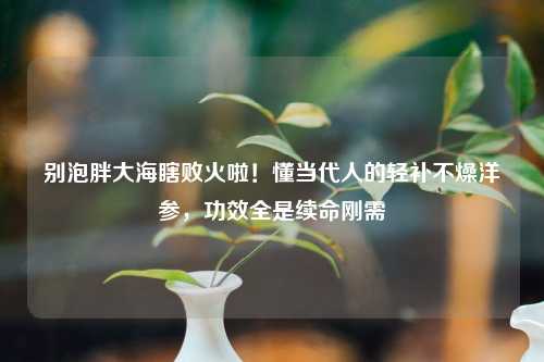 别泡胖大海瞎败火啦！懂当代人的轻补不燥洋参，功效全是续命刚需