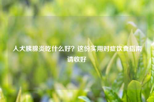 人犬胰腺炎吃什么好？这份实用对症饮食指南请收好