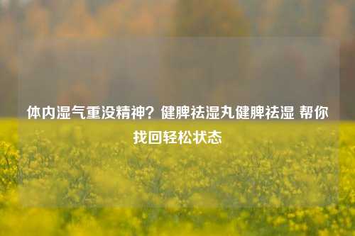 体内湿气重没精神？健脾祛湿丸健脾祛湿 帮你找回轻松状态