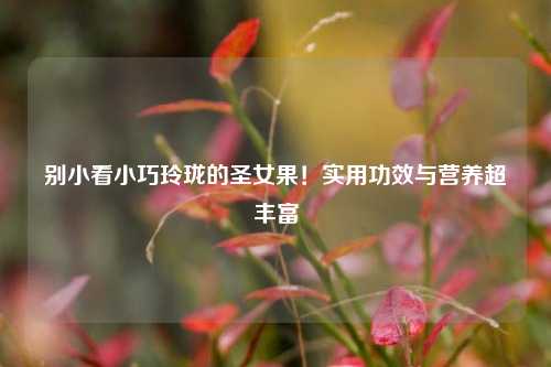 别小看小巧玲珑的圣女果！实用功效与营养超丰富