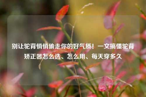 别让驼背悄悄偷走你的好气质！一文搞懂驼背矫正器怎么选、怎么用、每天穿多久