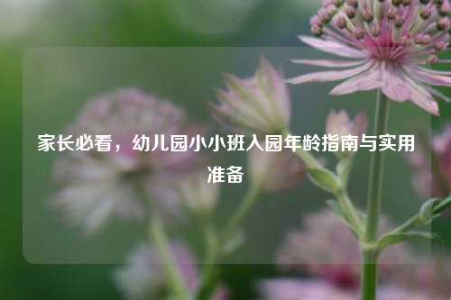 家长必看，幼儿园小小班入园年龄指南与实用准备