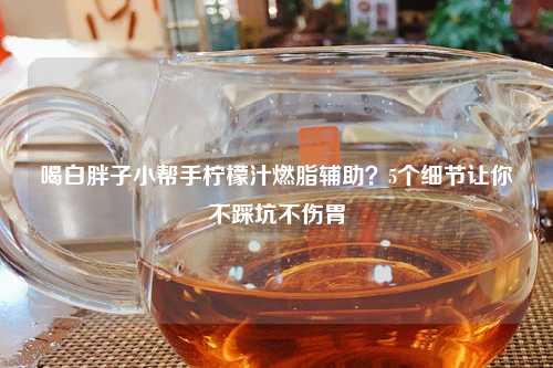 喝白胖子小帮手柠檬汁燃脂辅助？5个细节让你不踩坑不伤胃