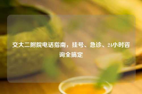 交大二附院     指南，挂号、急诊、24小时咨询全搞定