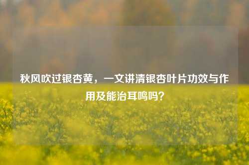 秋风吹过银杏黄，一文讲清银杏叶片功效与作用及能治耳鸣吗？