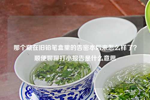 那个藏在旧铅笔盒里的告密本后来怎么样了？顺便聊聊打小报告是什么意思