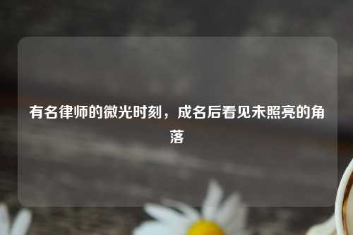 有名律师的微光时刻，成名后看见未照亮的角落