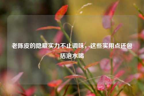 老陈皮的隐藏实力不止调味，这些实用点还包括泡水喝