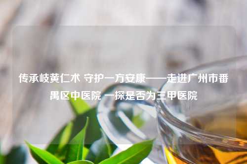 传承岐黄仁术 守护一方安康——走进广州市番禺区中医院 一探是否为三甲医院