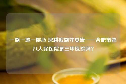 一湖一城一院心 深耕滨湖守安康——合肥市第八人民医院是三甲医院吗？