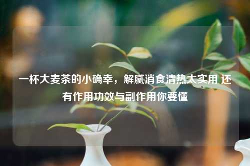 一杯大麦茶的小确幸，解腻消食清热太实用 还有作用功效与副作用你要懂