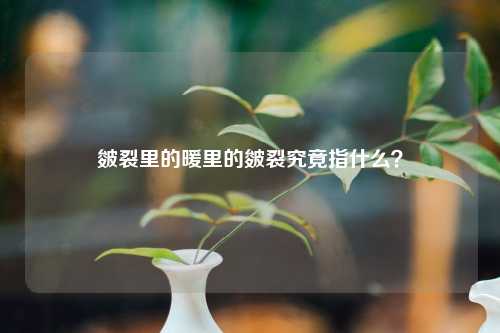 皴裂里的暖里的皴裂究竟指什么？