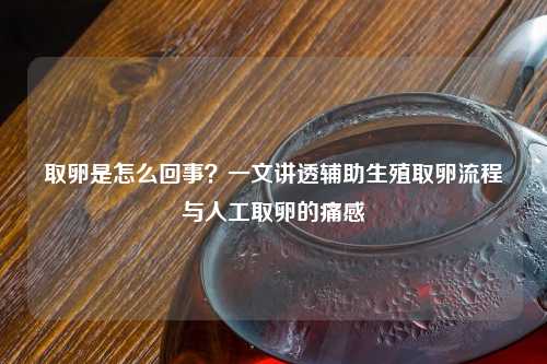 取卵是怎么回事？一文讲透辅助生殖取卵流程与人工取卵的痛感