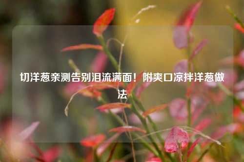 切洋葱亲测告别泪流满面！附爽口凉拌洋葱做法