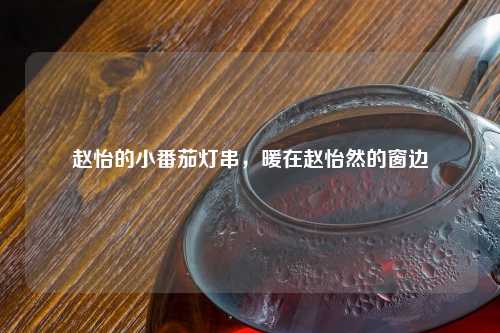 赵怡的小番茄灯串，暖在赵怡然的窗边