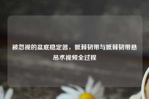 被忽视的盆底稳定器，骶棘韧带与骶棘韧带悬吊术视频全过程
