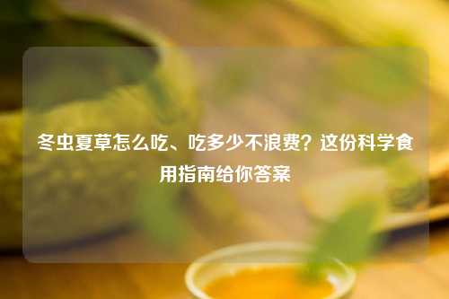 冬虫夏草怎么吃、吃多少不浪费？这份科学食用指南给你答案