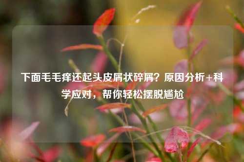 下面毛毛痒还起头皮屑状碎屑？原因分析+科学应对，帮你轻松摆脱尴尬