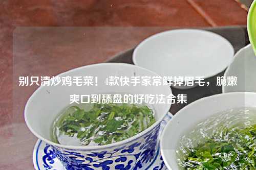 别只清炒鸡毛菜！4款快手家常鲜掉眉毛，脆嫩爽口到舔盘的好吃法合集