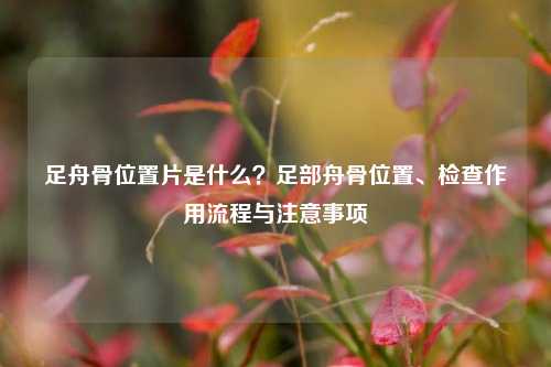 足舟骨位置片是什么？足部舟骨位置、检查作用流程与注意事项
