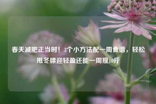 春天减肥正当时！3个小     配一周食谱，轻松甩冬膘迎轻盈还能一周瘦10斤