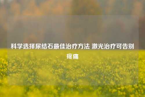 科学选择尿结石更佳治疗      激光治疗可告别疼痛