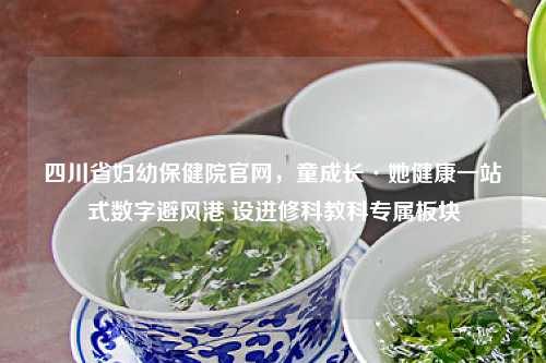 四川省妇幼保健院官网，童成长·她健康一站式数字避风港 设进修科教科专属板块