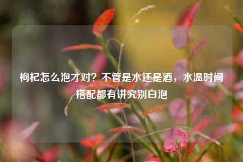 枸杞怎么泡才对？不管是水还是酒，水温时间搭配都有讲究别白泡
