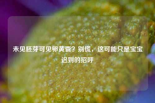 未见胚芽可见卵黄囊？别慌，这可能只是宝宝迟到的招呼